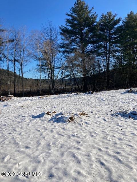 view of yard covered in snow