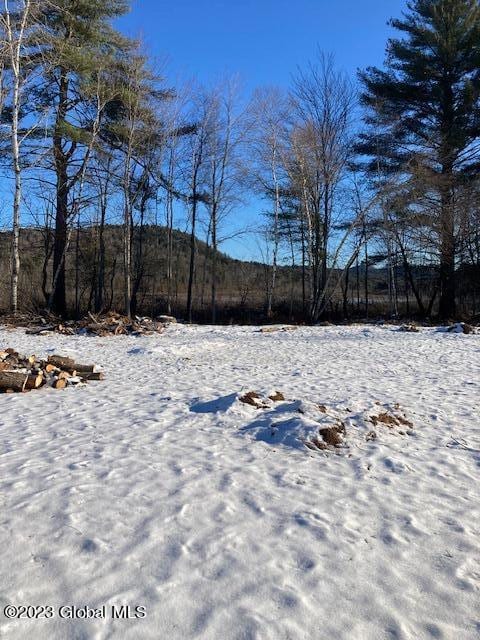 view of snowy yard