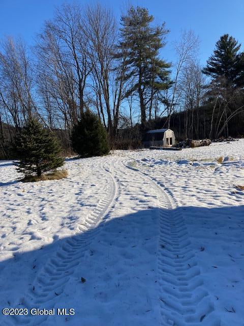 view of yard covered in snow