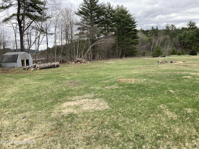 view of yard featuring an outbuilding