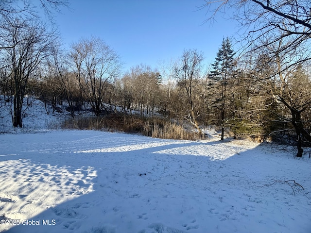 view of snowy yard