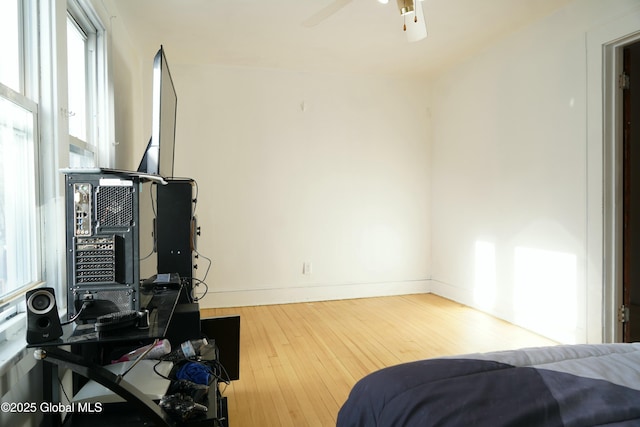 workout room featuring ceiling fan and wood-type flooring