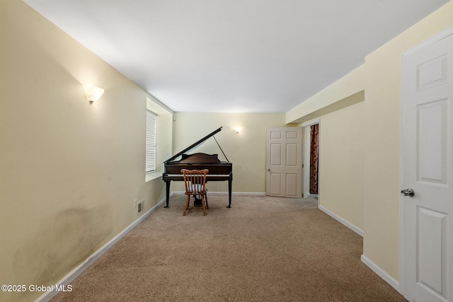 miscellaneous room featuring carpet floors