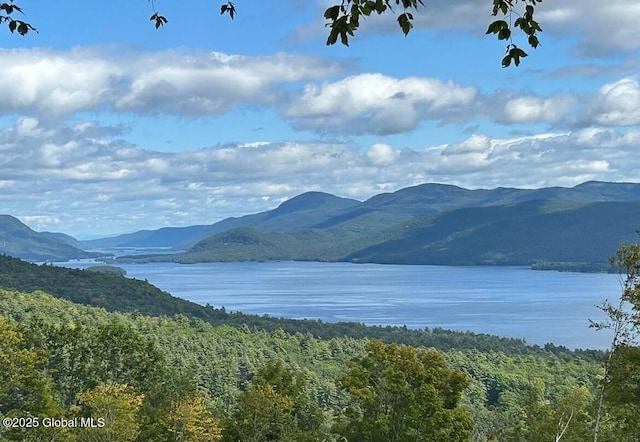 188 Watershed Dr, Lake George NY, 12824 land for sale