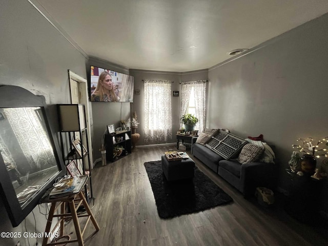 living room featuring hardwood / wood-style floors and ornamental molding