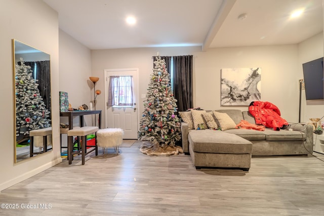 living room with light hardwood / wood-style floors