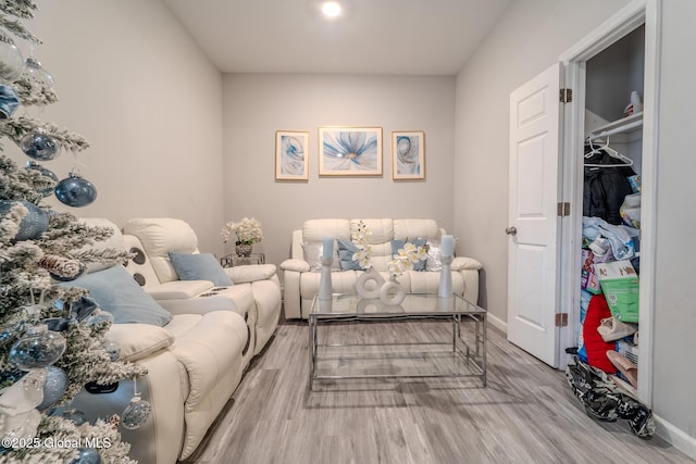 living room featuring light hardwood / wood-style floors