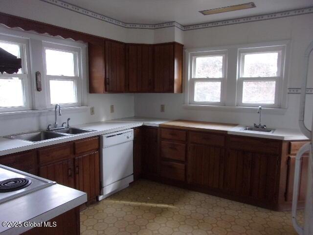 kitchen featuring sink, dishwasher, and a wealth of natural light