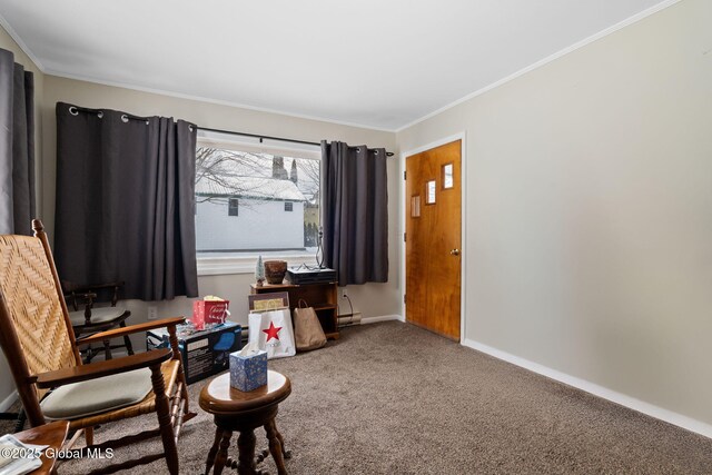 living area with crown molding, baseboard heating, and carpet floors