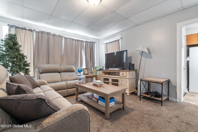 living room featuring a drop ceiling and carpet floors