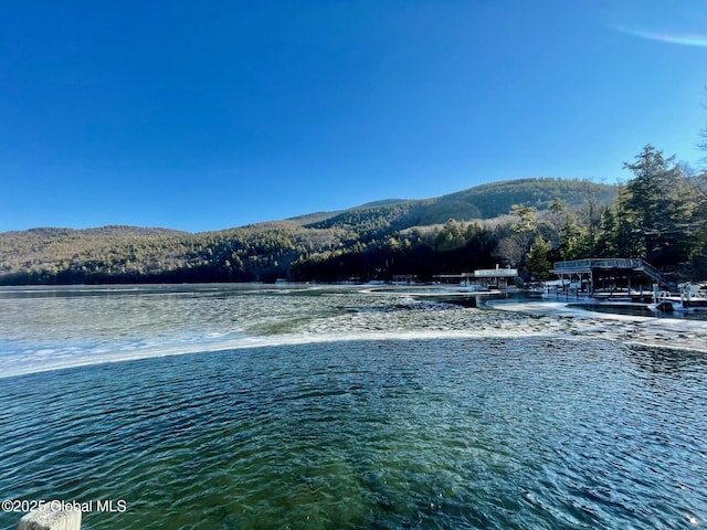 water view featuring a wooded view