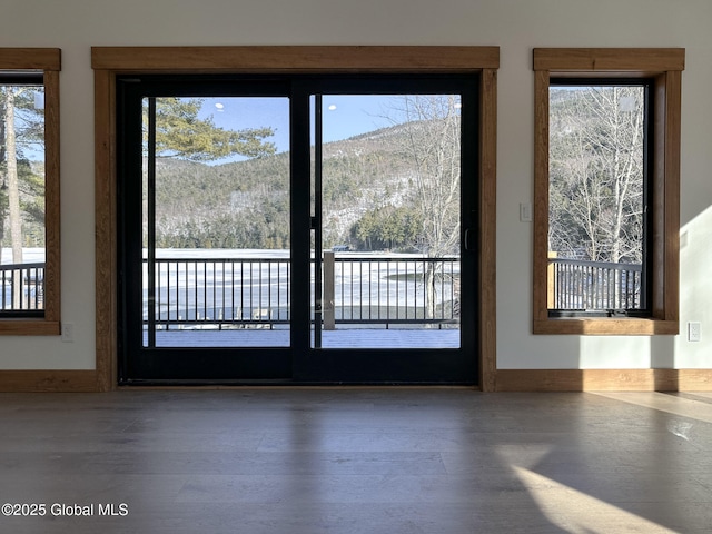 doorway to outside featuring a mountain view, baseboards, and wood finished floors