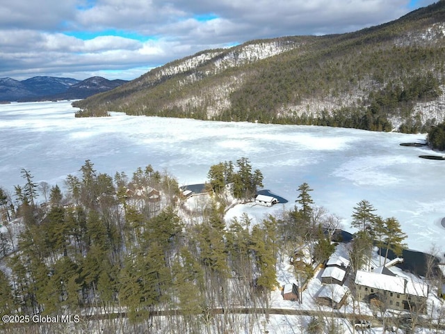 view of mountain feature