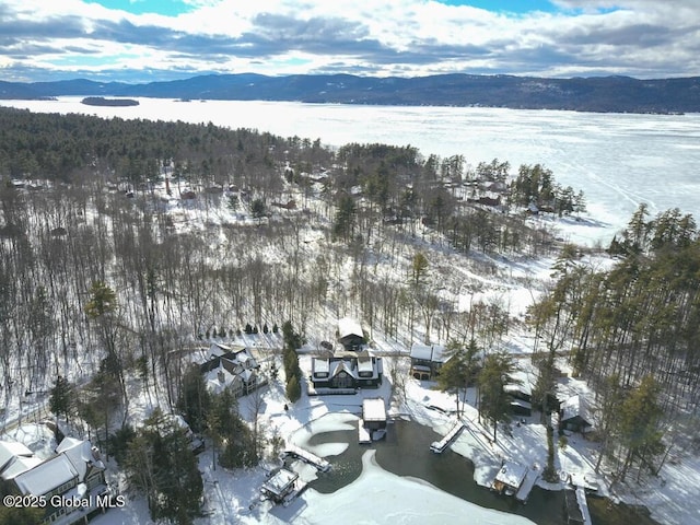 snowy aerial view featuring a mountain view