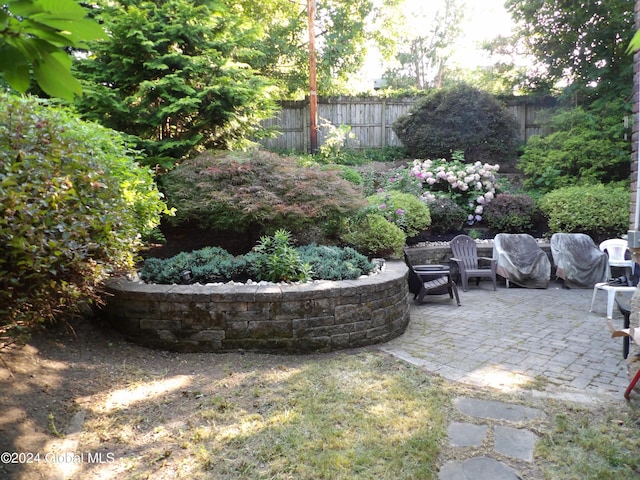 view of yard featuring a patio area