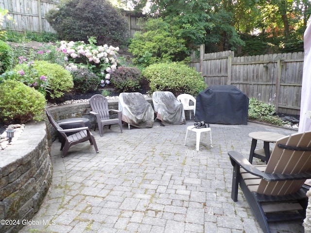 view of patio / terrace featuring area for grilling