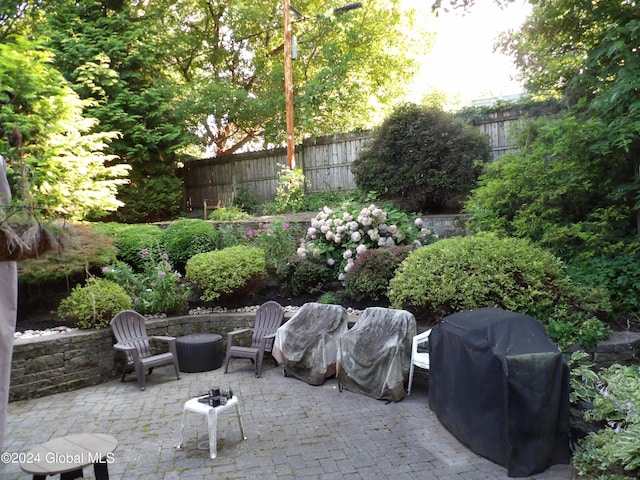 view of patio / terrace with area for grilling