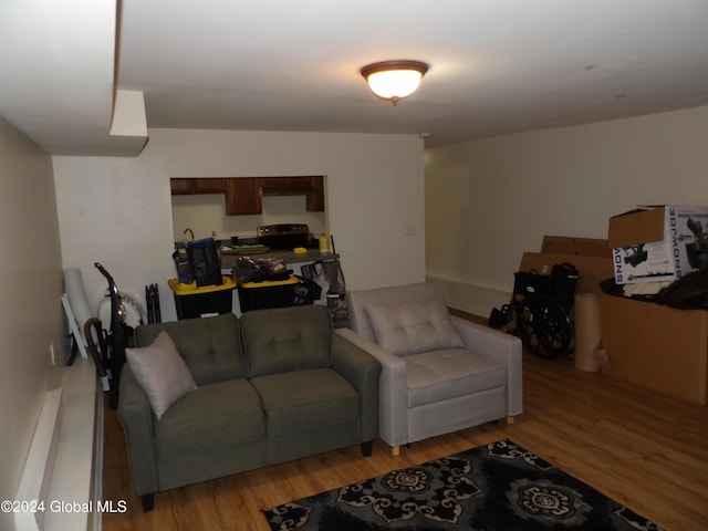 living room featuring light hardwood / wood-style floors