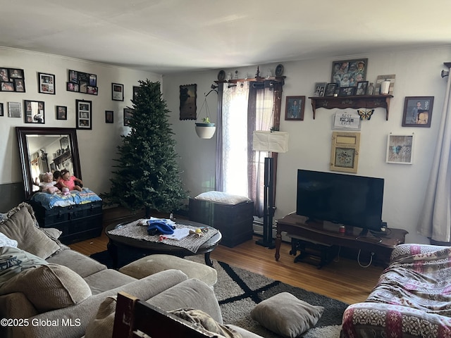 living room featuring hardwood / wood-style floors