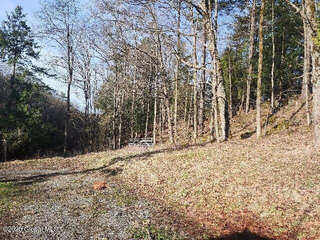 view of nature featuring a forest view