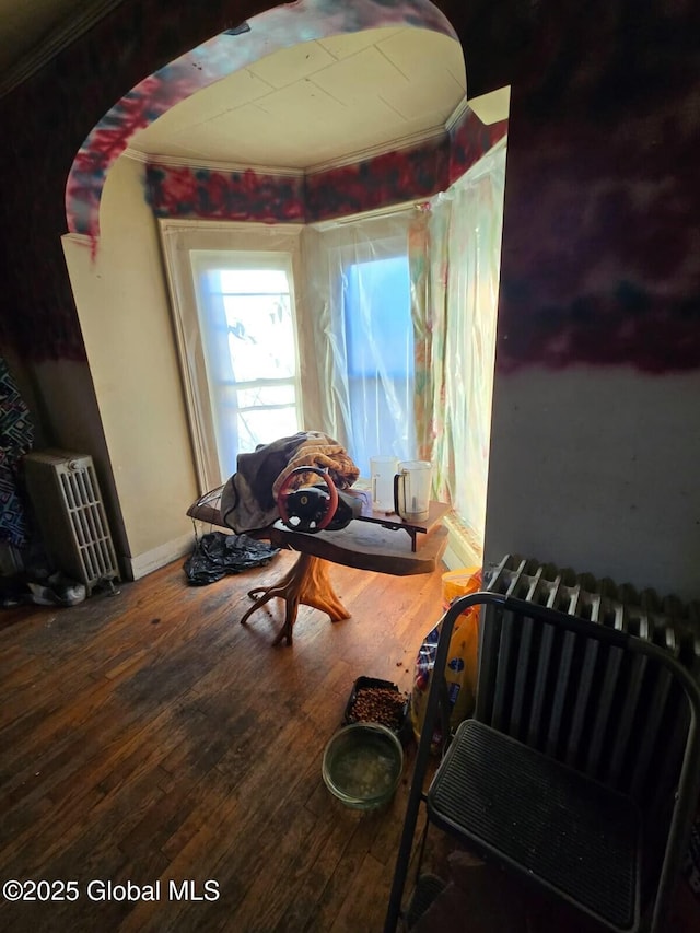 sitting room featuring hardwood / wood-style floors