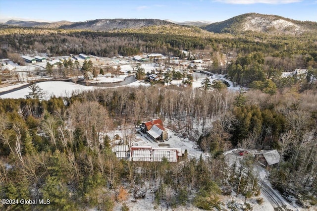 aerial view with a mountain view