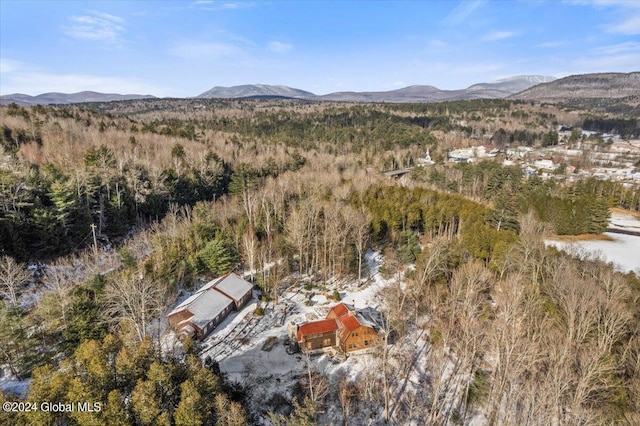 drone / aerial view with a mountain view