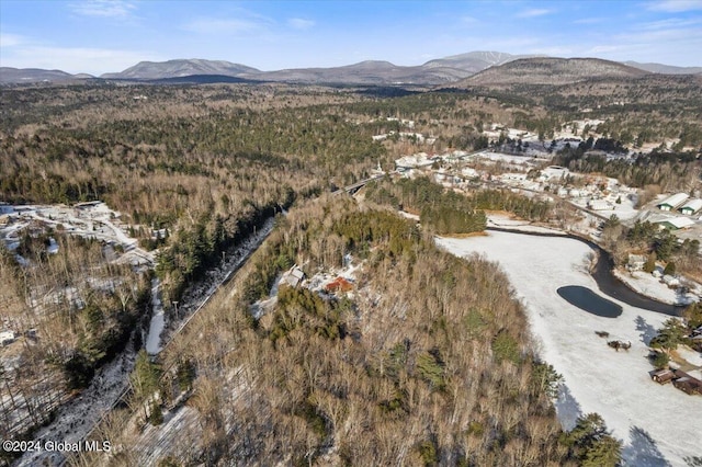 birds eye view of property featuring a mountain view