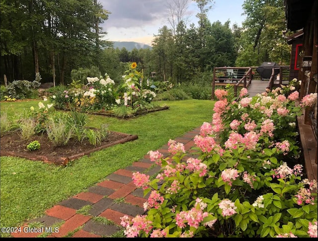 view of yard featuring a wooden deck