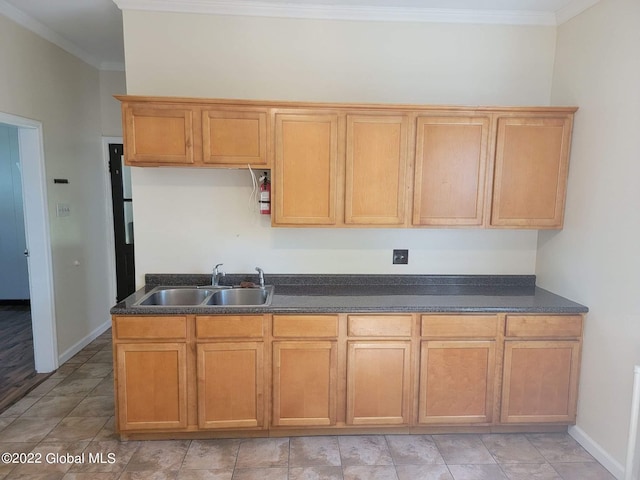 kitchen with sink and crown molding