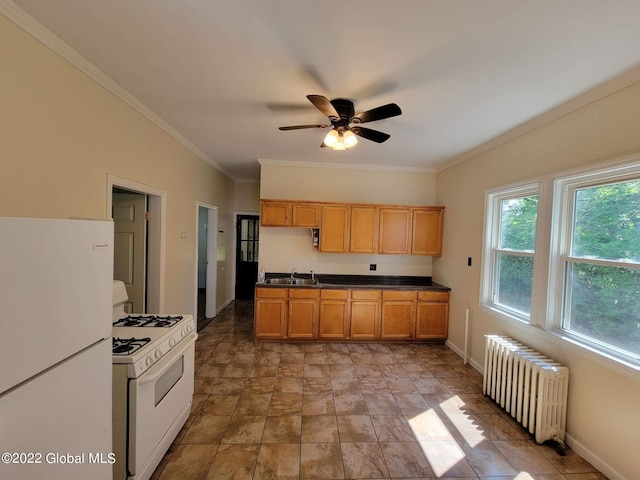 kitchen with crown molding, ceiling fan, sink, radiator, and white appliances