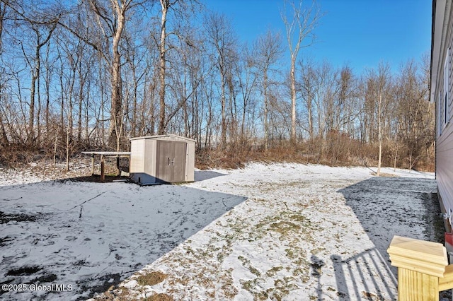 yard covered in snow with a shed