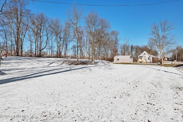 view of yard covered in snow