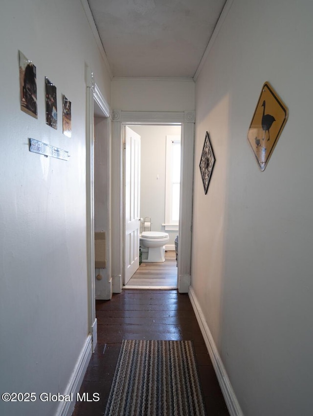 hall featuring ornamental molding and dark hardwood / wood-style floors