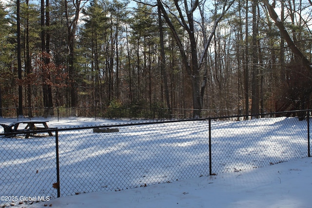 view of snowy yard