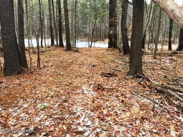 L4 State Route 146, Wright NY, 12053 land for sale