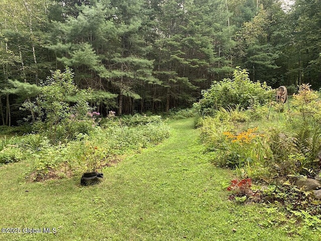 view of yard with a wooded view