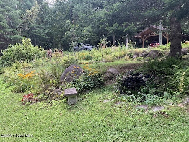 view of yard with a wooded view