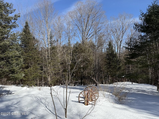 yard layered in snow featuring a forest view