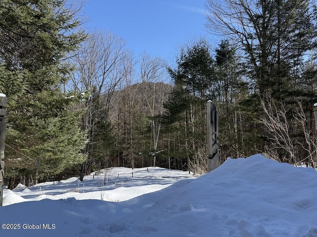 yard covered in snow with a forest view