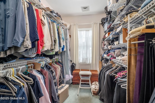 view of walk in closet