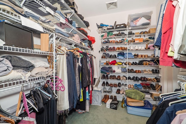 spacious closet with carpet