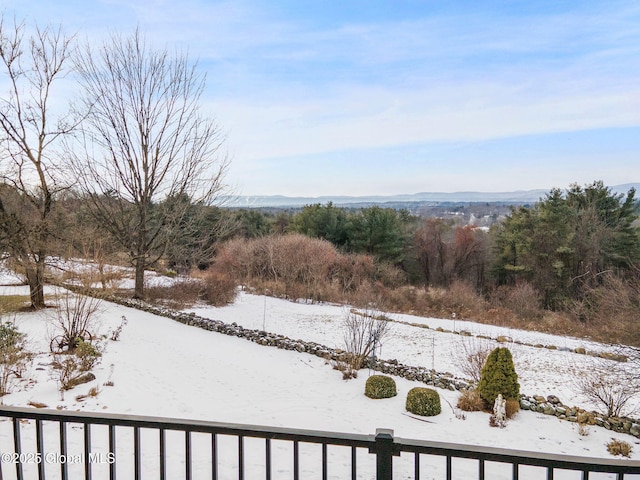 view of yard layered in snow