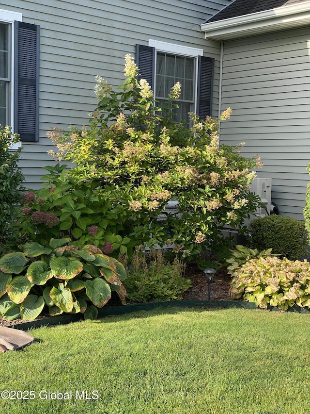 exterior space featuring a lawn