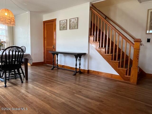 dining room with ornamental molding and dark hardwood / wood-style flooring