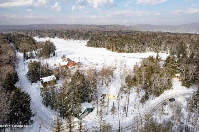 snowy aerial view with a mountain view