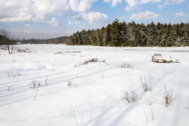 view of yard covered in snow