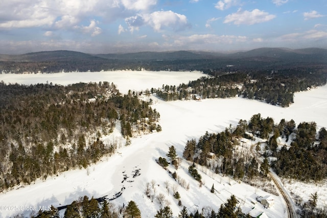 snowy aerial view with a mountain view