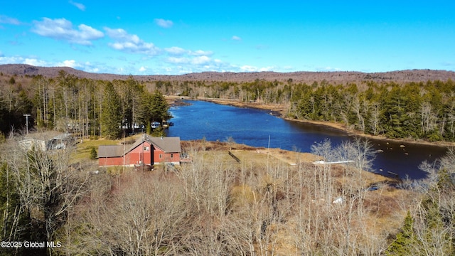 758 S Shore Rd E, Caroga Lake, Caroga, NY 12032 - property view of water featuring a forest view and a mountain view