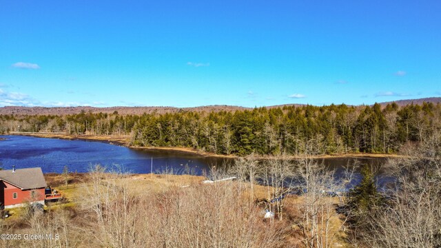 758 S Shore Rd E, Caroga Lake, Caroga, NY 12032 - property view of water with a view of trees